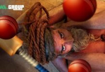 Как лить крикет на Индию с PWA