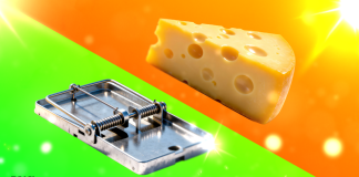 Бесплатный сыр или мышеловка – нужно ли брать прилы в ПП?